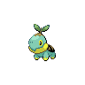 Shiny Turtwig
